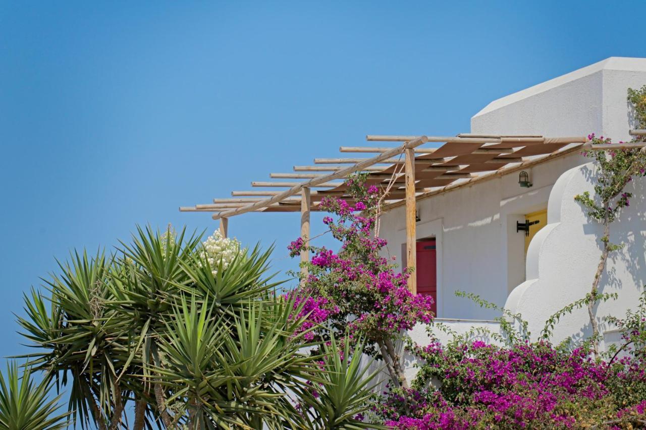 Ailouros Summer Hotel Schoinoussa Zewnętrze zdjęcie